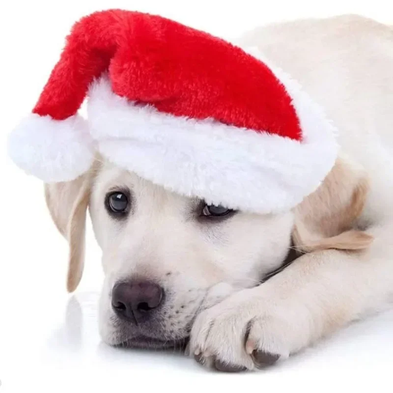 Christmas Pet Santa Hat Red Pl - Santa Hat Plush recensie en prijs