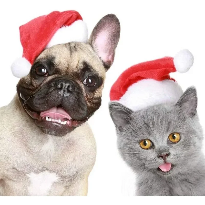 Christmas Pet Santa Hat Red Pl - Santa Hat Plush recensie en prijs