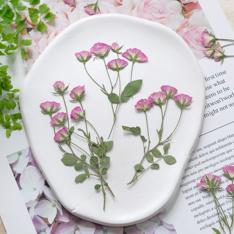 12pcs,Mini Pink Rose Pressed F - Holiday Candle Set recensie en prijs